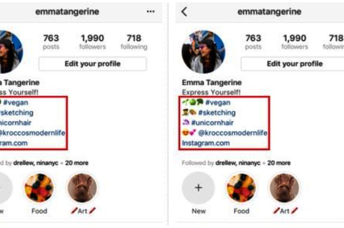 Tidak Bisa Tag Nama Di Bio Instagram. Instagram Izinkan Hashtag dan Akun Lain Muncul di Bio Pengguna