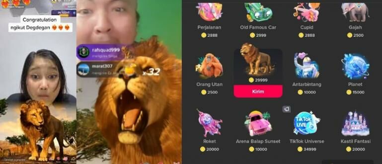 Singa Tiktok Berapa Rupiah. Harga Gift Singa di TikTok Berapa Rupiah? Jumlahnya Fantastis