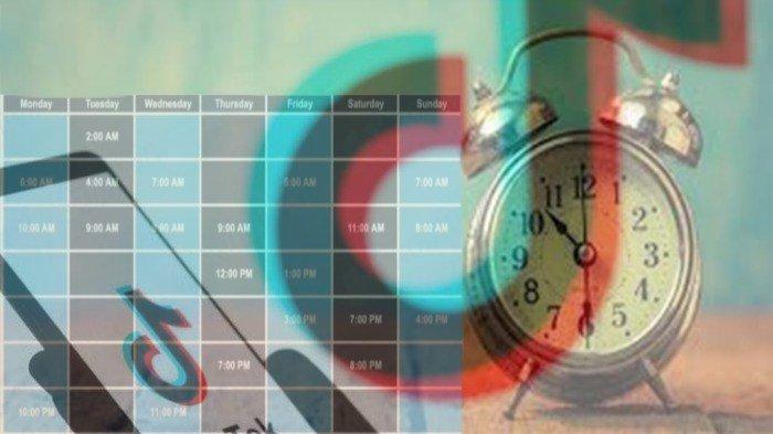 Jam Berapa Fyp Tiktok Hari Ini. FYP Tiktok Setiap Hari Mulai Senin hingga Minggu Jam Berapa FYP