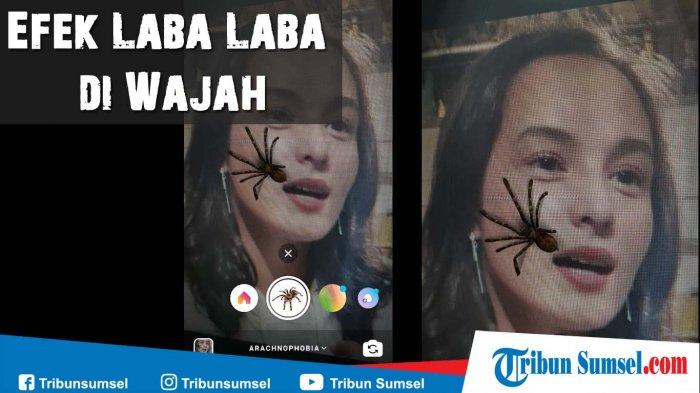 Filter Kecoa Masuk Hidung Instagram. Cara Dapatkan Efek Laba Laba di Wajah (Laba Laba Keluar di