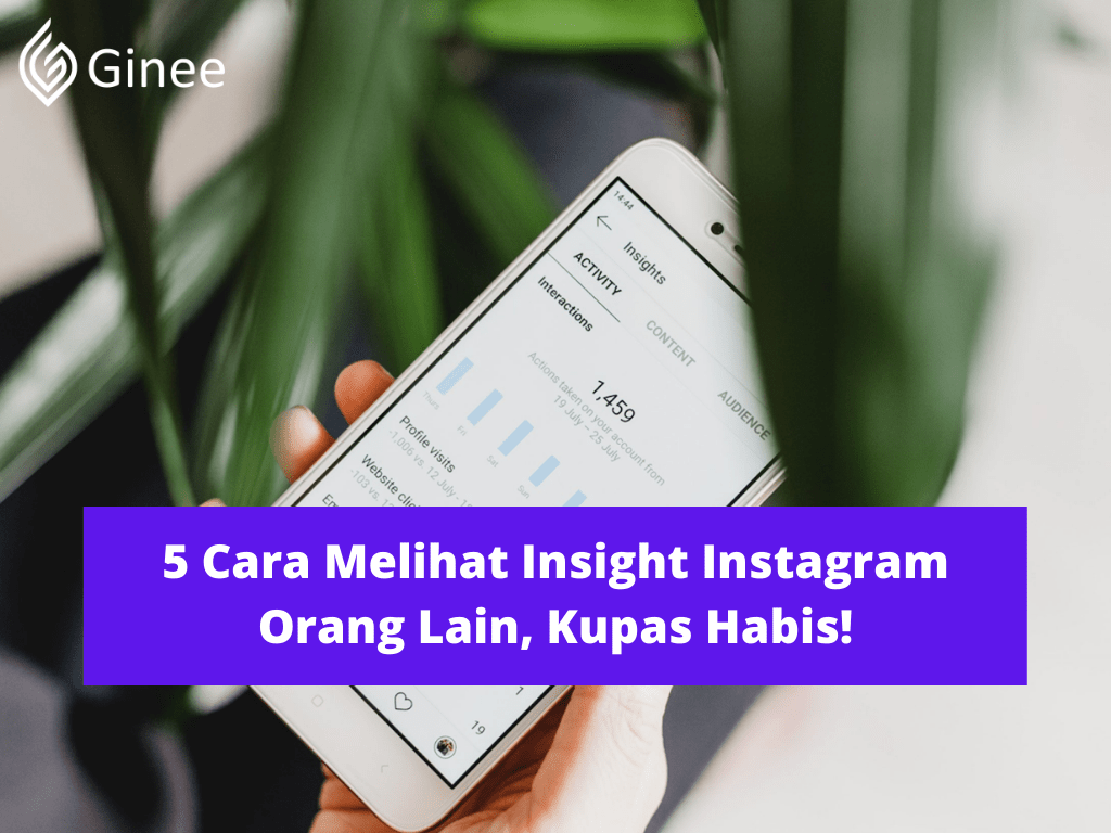 Cek Insight Instagram. 5 Cara Melihat Insight Instagram Orang Lain, Kupas Habis!