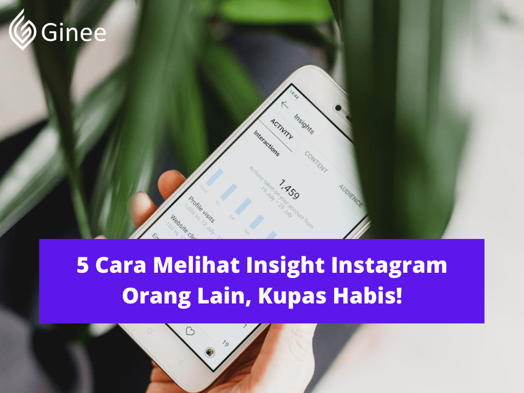 Cara Melihat Insight Story Instagram. 5 Cara Melihat Insight Instagram Orang Lain, Kupas Habis!