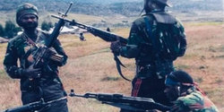 Istaka Laki Laki Atau Perempuan. Bos Istaka Karya Terjun ke Papua Tangani Kasus Pembunuhan 31