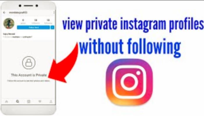 Cara Melihat Follower Ig Yang Dikunci. Cara Melihat Akun Instagram yang Dikunci ~ Gadget2Reviews.Com