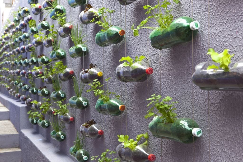 Pot Dinding Dari Botol Bekas. Cara Membuat dan Merawat Vertical Garden dari Botol Bekas yang