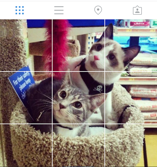 Cara Upload Foto Di Instagram Satu Foto Jadi Banyak. Cara Membuat Foto menjadi Beberapa Bagian (Instagram Grid