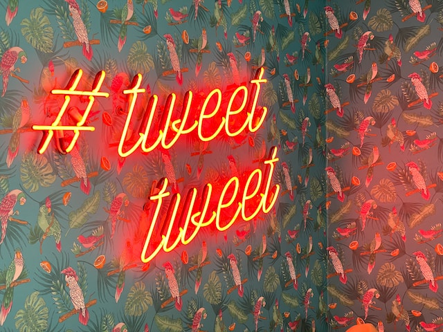 Cara Melihat Foto Twitter Yang Sudah Dihapus. Memulihkan Tweet yang Dihapus: Metode Untuk Mengambil