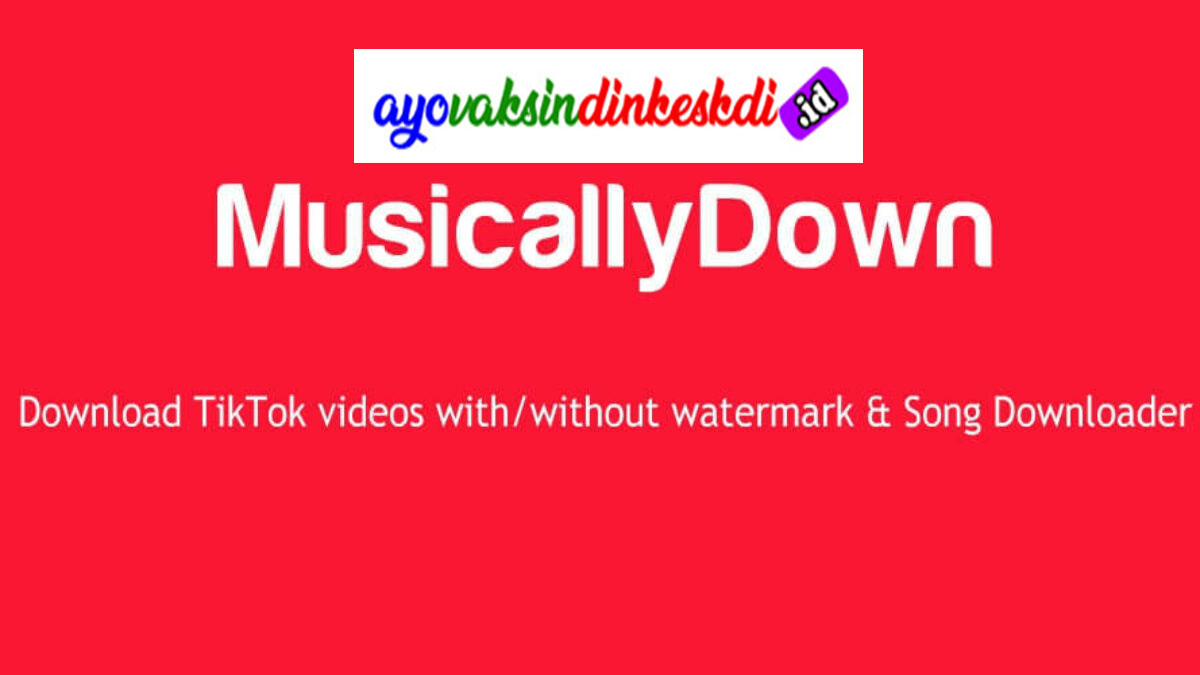Video Tiktok To Mp3. MusicallyDown MP3 Download Video TikTok No Watermark