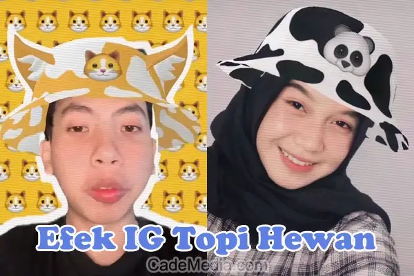 Efek Ig Topi Animal. √ Nama Efek Filter IG Topi Animal (Hewan) Terbaru 2021 & Cara