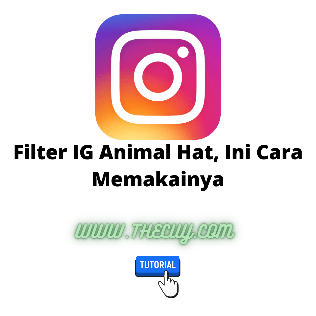 Background Animal Hat Filter Ig. Filter IG Animal Hat, Ini Cara Memakainya
