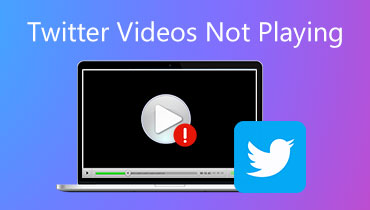 Tidak Bisa Memutar Video Di Twitter. 5 Tips untuk Memperbaiki Video Twitter yang Tidak Dapat Diputar