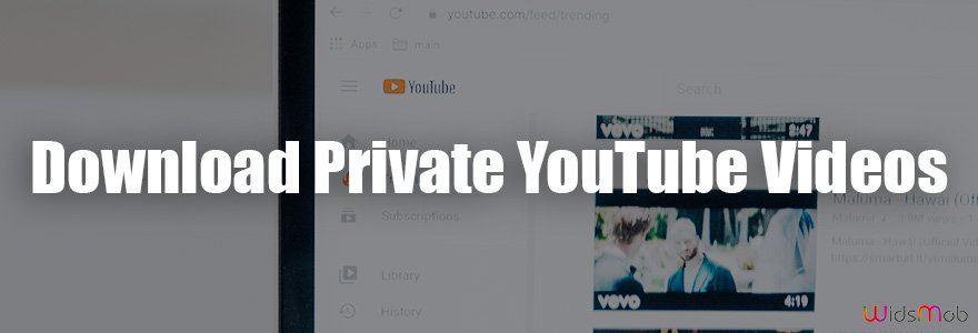 Cara Download Video Youtube Yang Di Private. Apakah Mungkin Mengunduh Video YouTube Pribadi? Ini